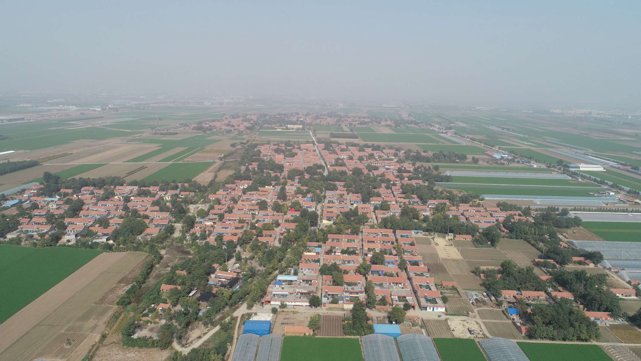 1574599291152537.jpg 青州市何官鎮石家村