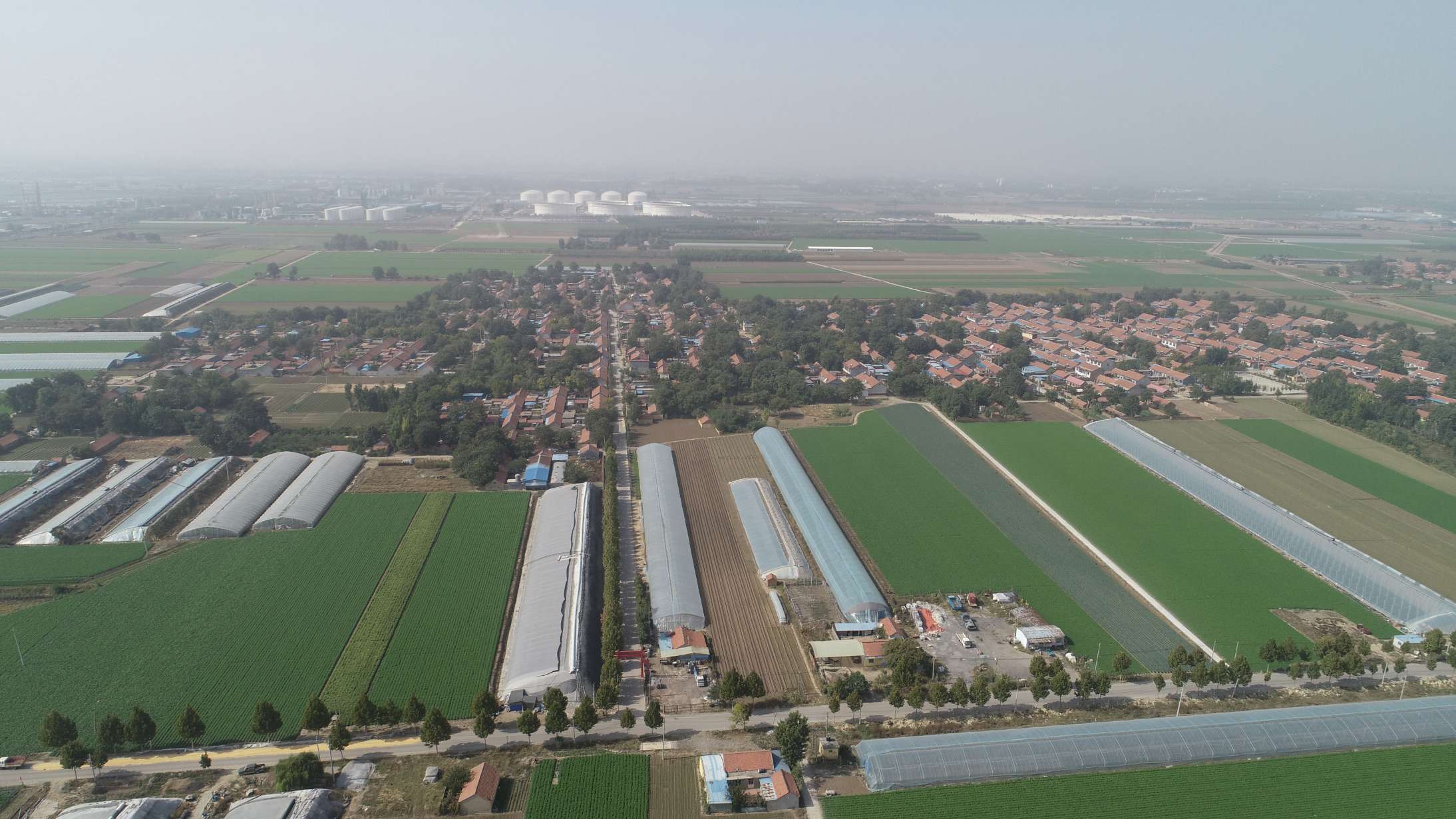 1574599318459449.jpg 青州市何官鎮石家村