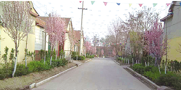 1574602509886991.png 青州市何官鎮石家村