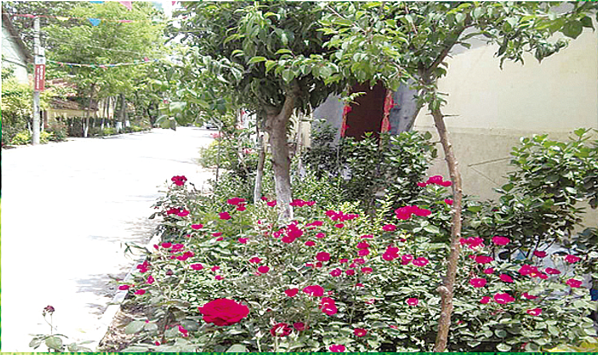 1574602547288069.png 青州市何官鎮石家村