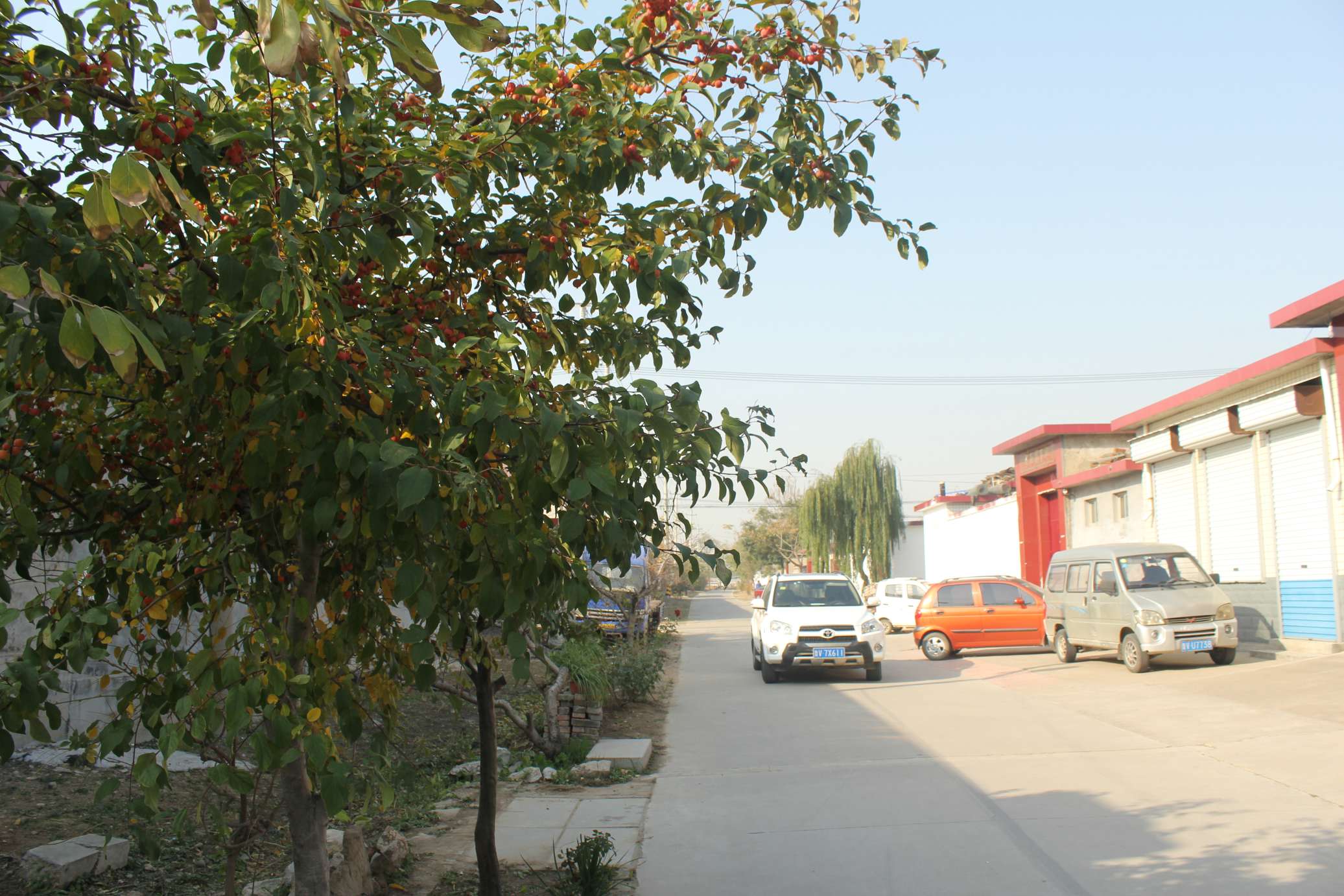 1575857919144273.jpg 村莊